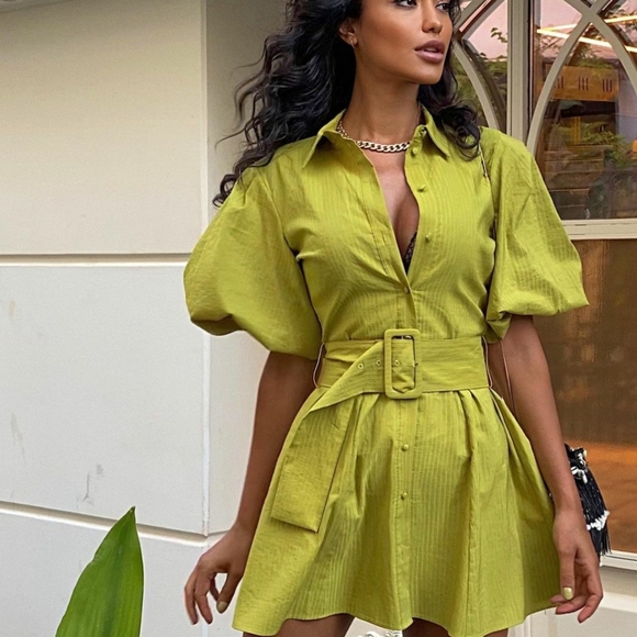 ZARA | Voluminous Sleeve Belted Dress Pistachio - Picture 3 of 16